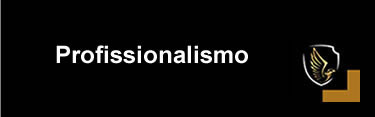 Profissionalismo