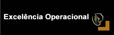 Excelência Operacional